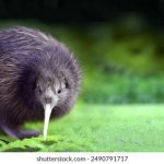 汤头条破解版 m658h5