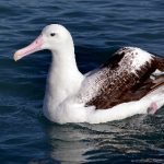 小岳母韩国 uac5pirg